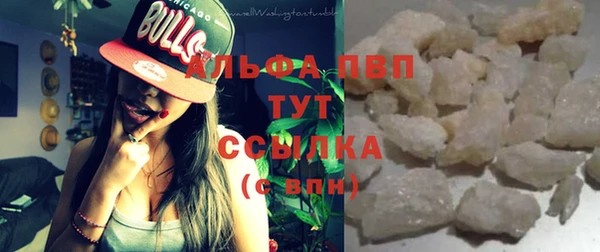 сатива Гусев