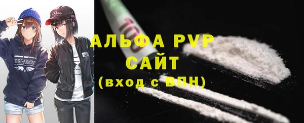 стаф Володарск