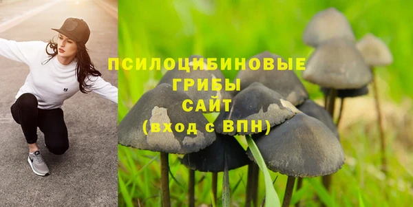 apvp Горнозаводск